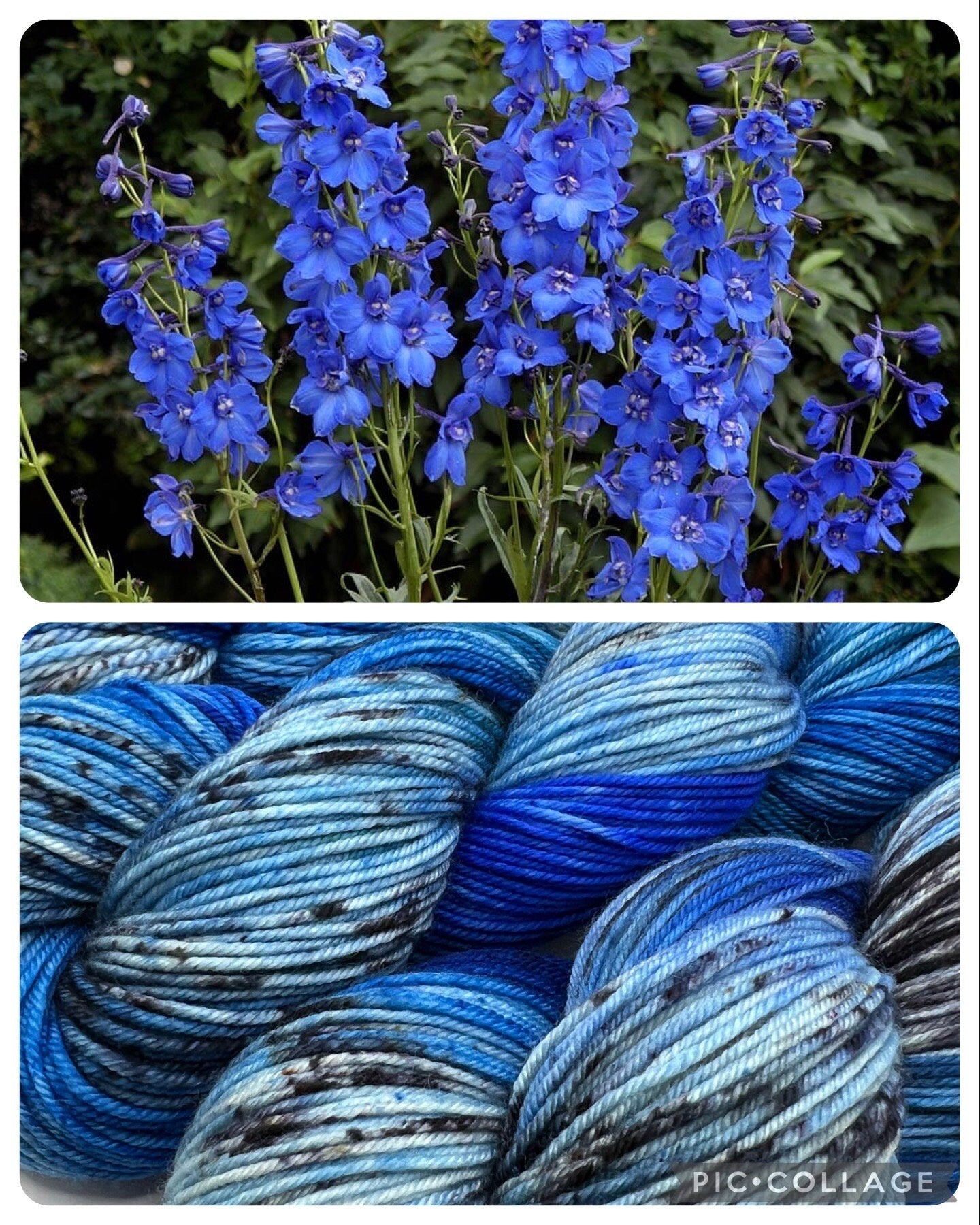 Belladonna | Hand Dyed Yarn