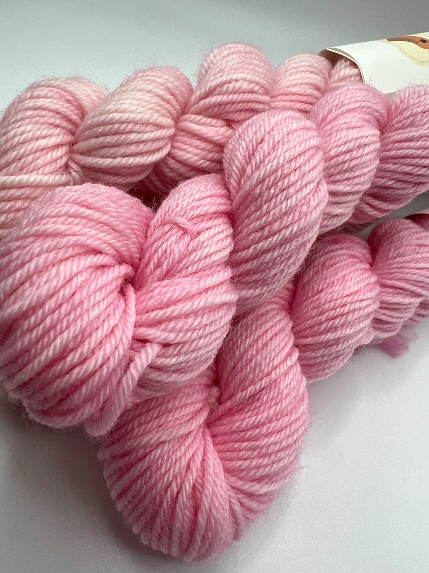 Cherry Blossom | Hand Dyed Yarn