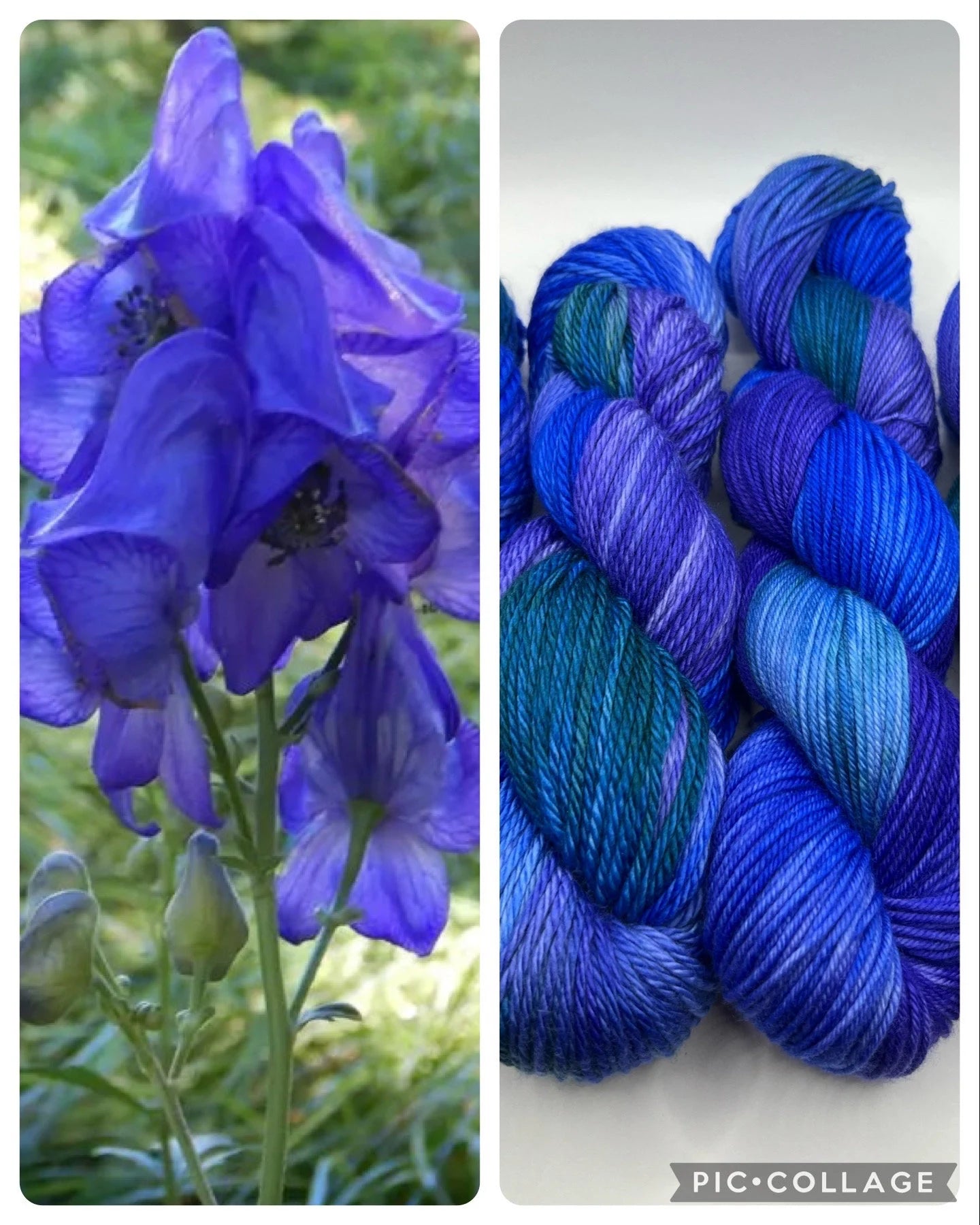 Wolfsbane | Hand Dyed Yarn