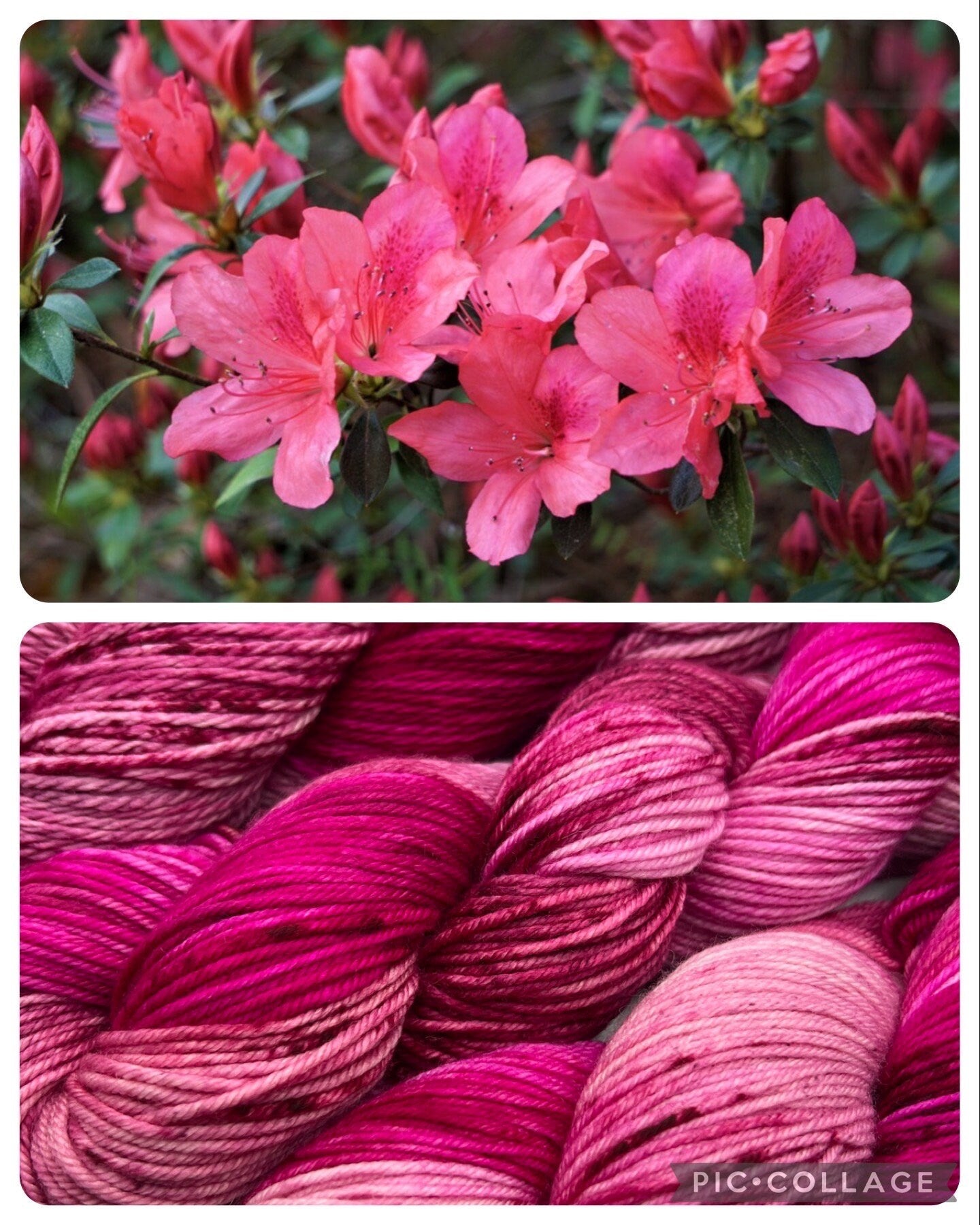 Azalea Mini | Superwash Merino Yarn Minis