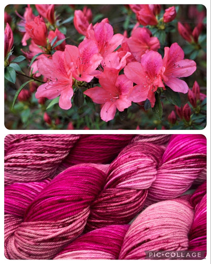 Azalea Mini | Superwash Merino Yarn Minis