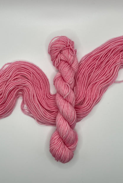 Ballerina | Hand Dyed Yarn