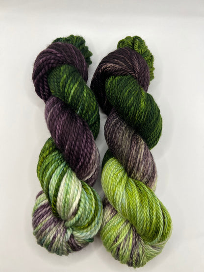 Beetlejuice | Hand Dyed Yarn