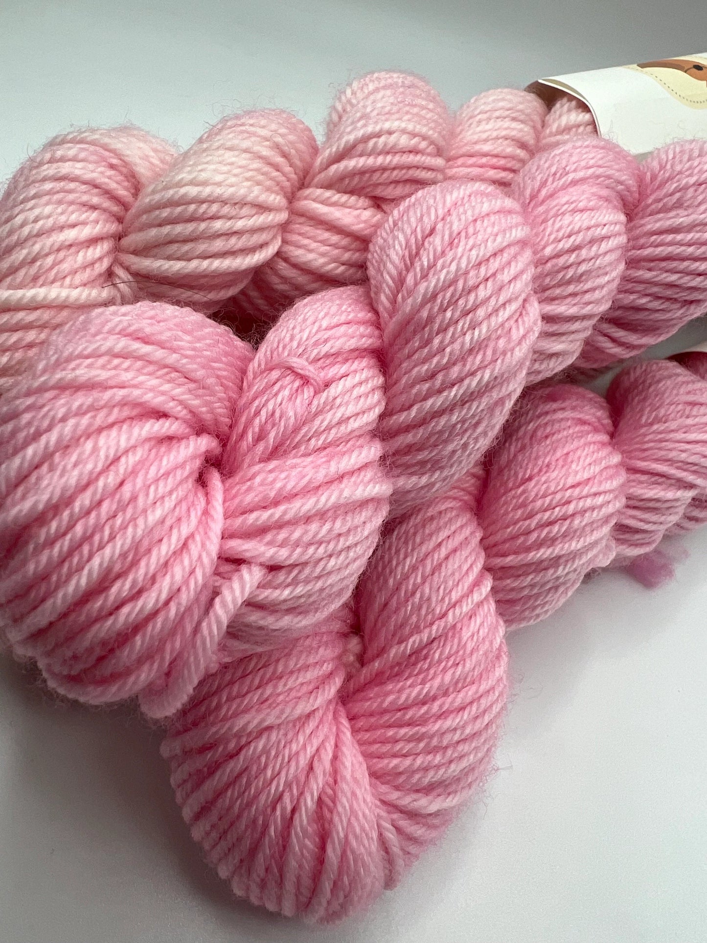 Cherry Blossom Mini | Superwash Merino Yarn Minis