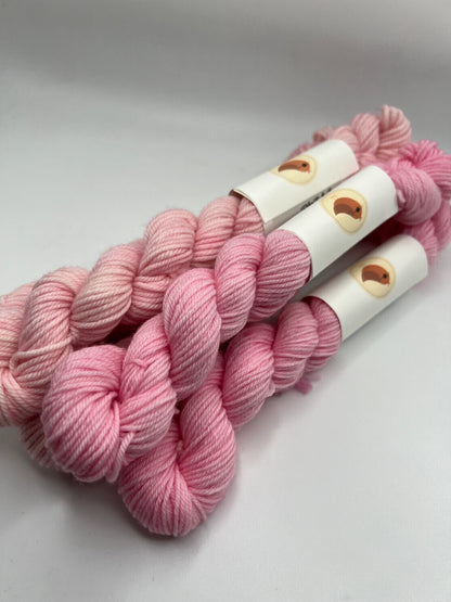 Cherry Blossom Mini | Superwash Merino Yarn Minis