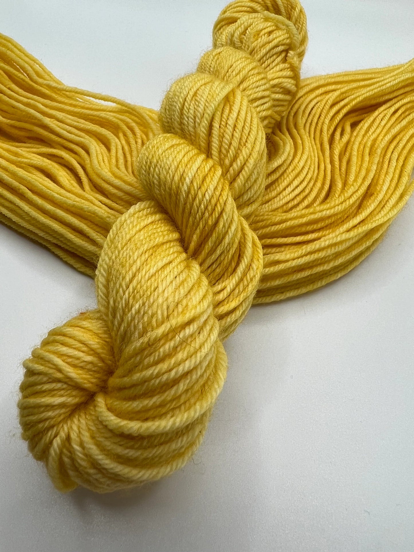 Duckling Mini | Superwash Merino Yarn Minis