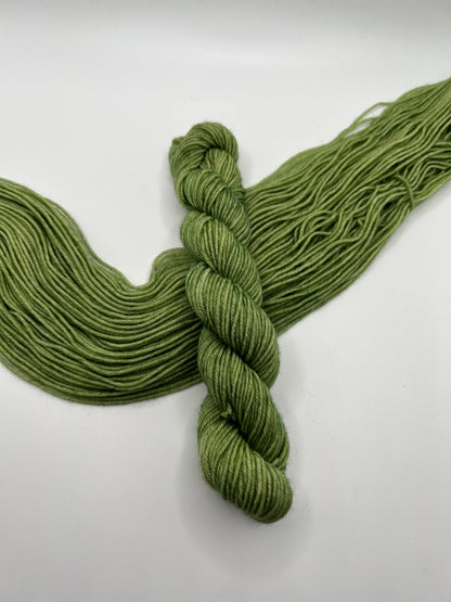 Grass | Hand Dyed Yarn