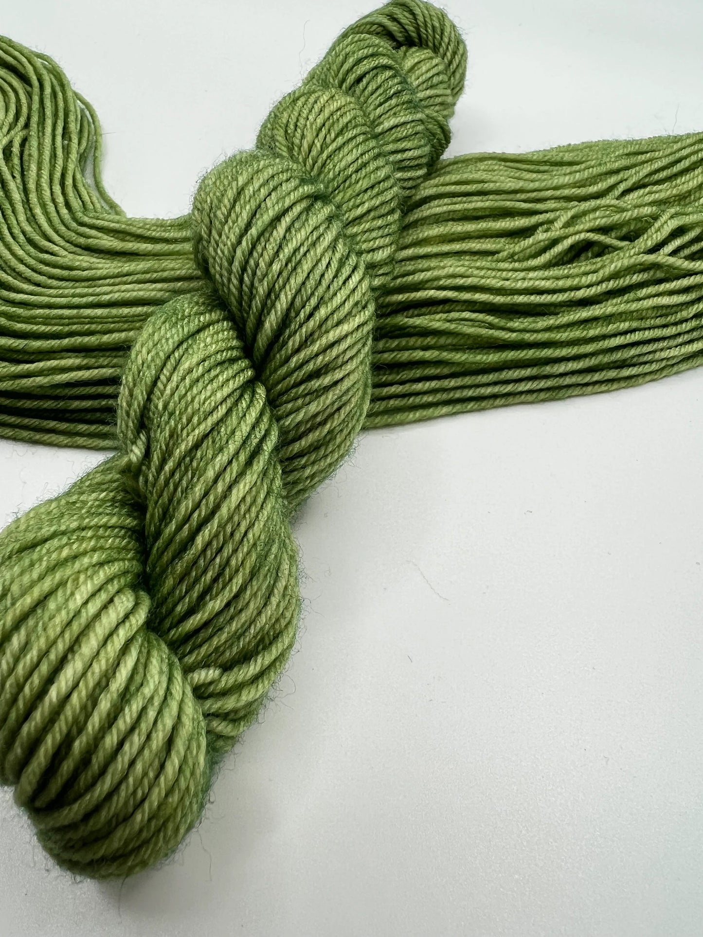 Grass | Hand Dyed Yarn