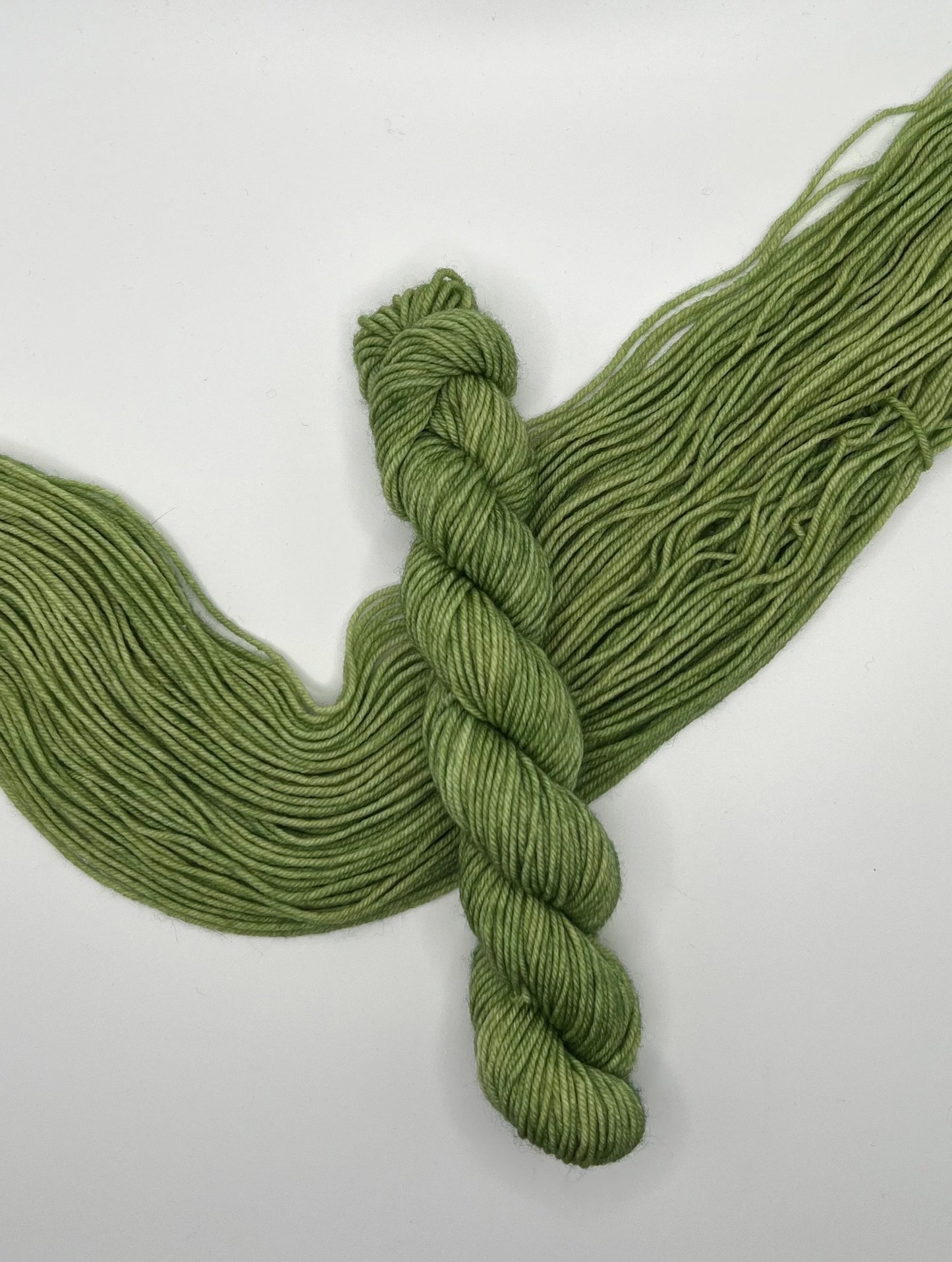 Grass | Hand Dyed Yarn