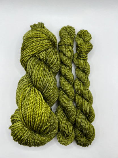 Lichen | Hand Dyed Yarn