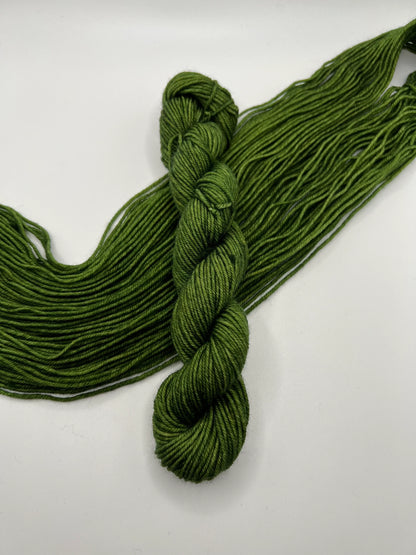 Seaweed | Hand Dyed Yarn