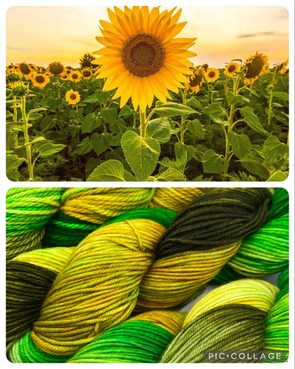 Sunflower | Hand Dyed Yarn