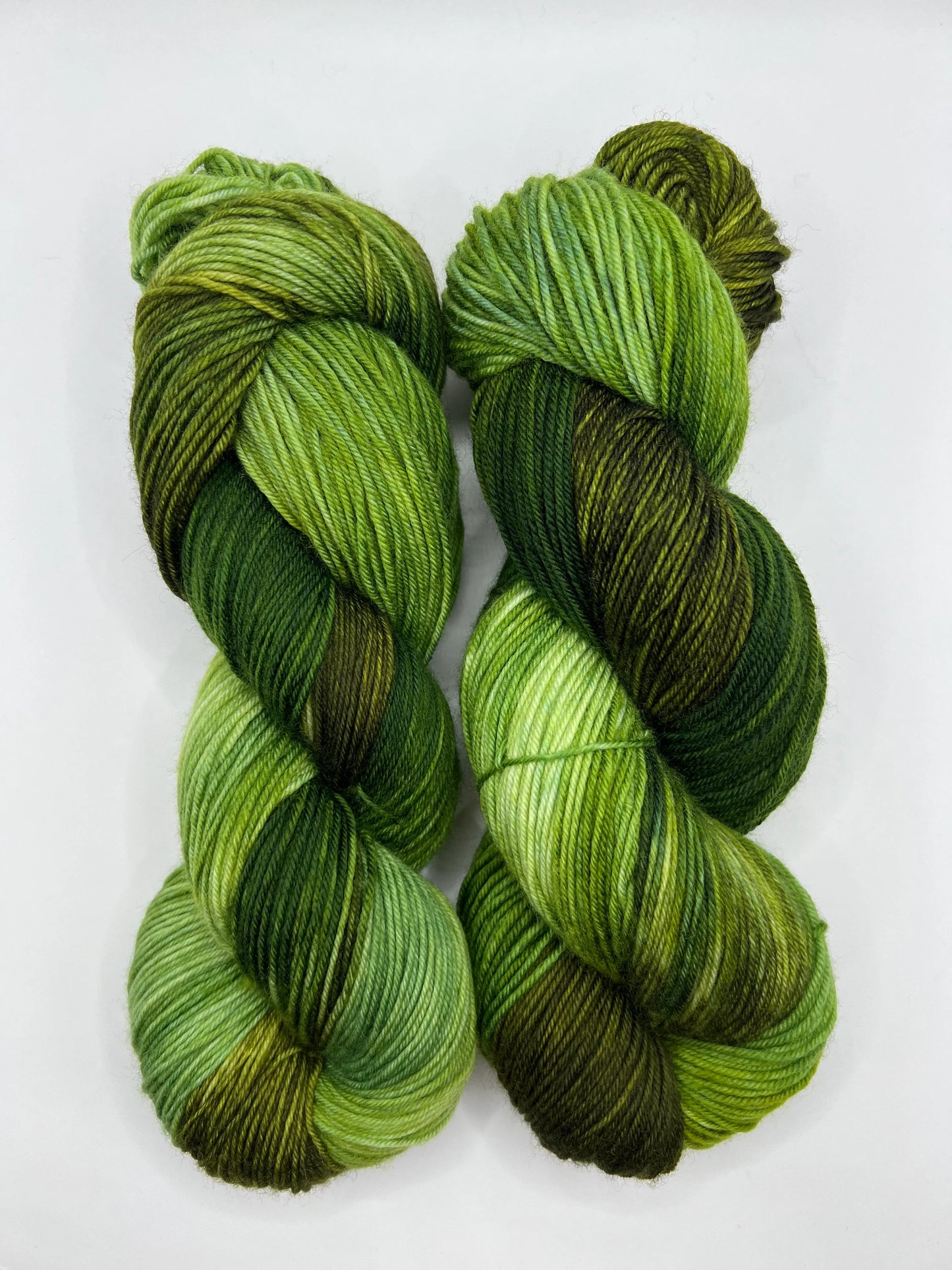 Wild Forest Mini | Superwash Merino Yarn Minis