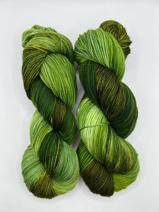 Wild Forest | Hand Dyed Yarn