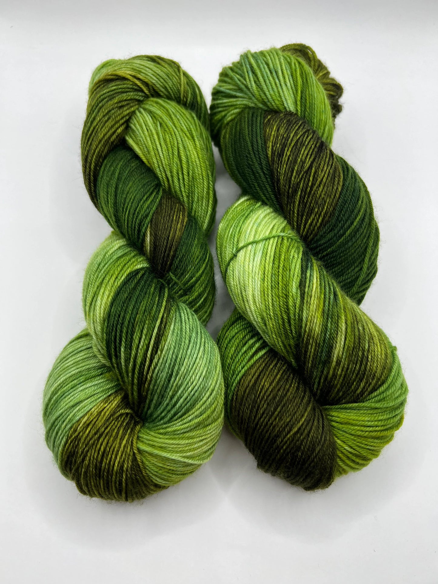 Wild Forest Mini | Superwash Merino Yarn Minis